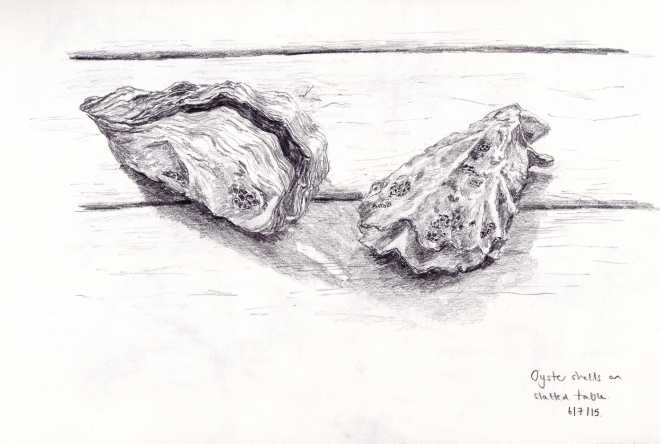 Oyster shells in pencil